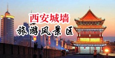 男人揉着女人大奶子插女人逼逼视频中国陕西-西安城墙旅游风景区